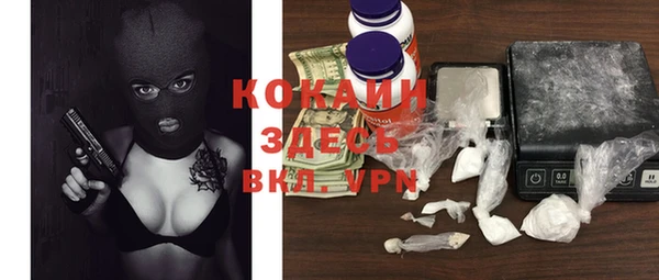 герыч Вяземский