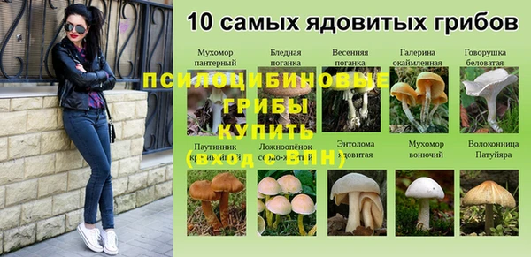 эйфоретик Вязьма